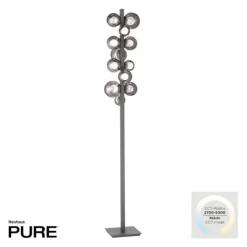 Paul Neuhaus LED Stehleuchte PURE Popup platin (grau) dimmbar Rauchglas CCT