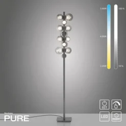 Paul Neuhaus LED Stehleuchte PURE Popup platin (grau) dimmbar Rauchglas CCT