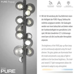 Paul Neuhaus LED Stehleuchte PURE Popup platin (grau) dimmbar Rauchglas CCT