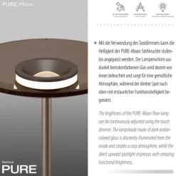 Paul Neuhaus LED Stehleuchte Pure Moon bronce Touchdimmer Amberfarben