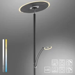 Paul Neuhaus LED Stehleuchte anthrazit dimmbar CCT Memoryfunktion