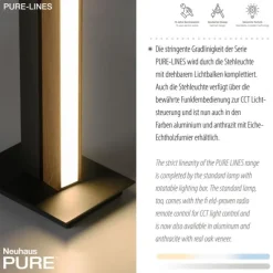 Paul Neuhaus LED Stehleuchte PURE-LINES Floor oak/graphite drehbar dimmbar