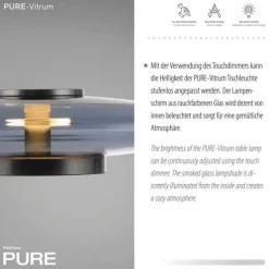 Paul Neuhaus LED Tischleuchte PURE Vitrum platin (grau) Touch dimmbar Rauchglas