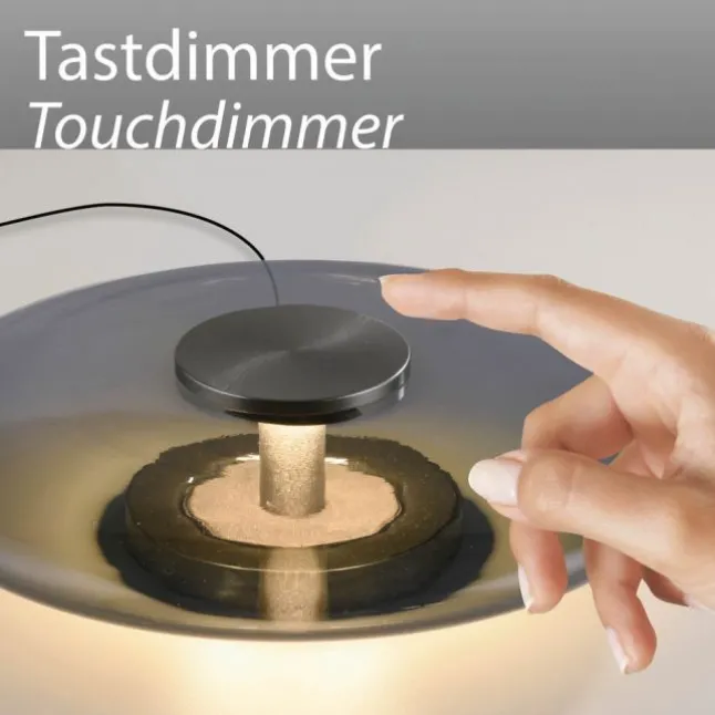 Paul Neuhaus LED Tischleuchte PURE Vitrum platin (grau) Touch dimmbar Rauchglas
