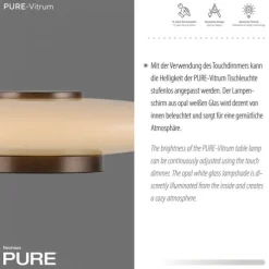 Paul Neuhaus LED Tischleuchte PURE Vitrum dark-metal-brown Touch
