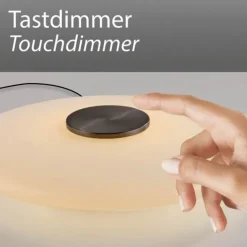 Paul Neuhaus LED Tischleuchte PURE Vitrum dark-metal-brown Touch