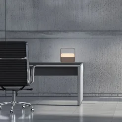Paul Neuhaus LED Tischleuchte Pure Go bronze Akku Touch USB