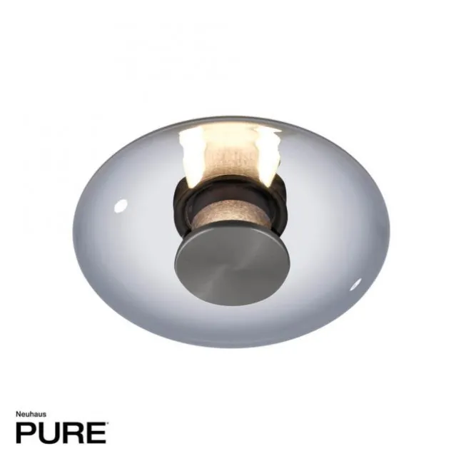 Paul Neuhaus LED Wand-Deckenleuchte PURE Vitrum grau Tronicdimmer