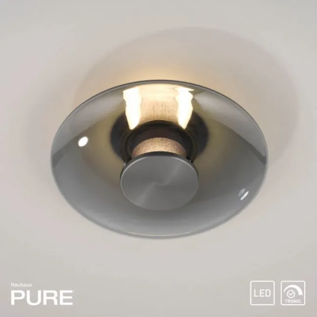 Paul Neuhaus LED Wand-Deckenleuchte PURE Vitrum grau Tronicdimmer