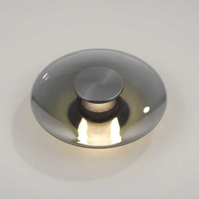 Paul Neuhaus LED Wand-Deckenleuchte PURE Vitrum grau Tronicdimmer