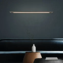 Paul Neuhaus LED Wandleuchte PURE Puro platin Touchdimmer