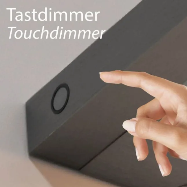 Paul Neuhaus LED Wandleuchte PURE Puro platin Touchdimmer