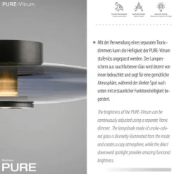 Paul Neuhaus LED Wand- und Deckenleuchte PURE Vitrum platin (grau) Rauchglas