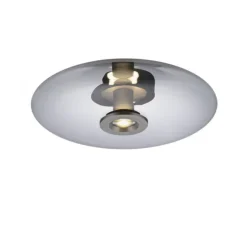 Paul Neuhaus LED Wand- und Deckenleuchte PURE Vitrum platin (grau) Rauchglas
