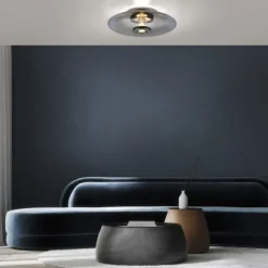 Paul Neuhaus LED Wand- und Deckenleuchte PURE Vitrum platin (grau) Rauchglas
