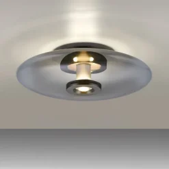 Paul Neuhaus LED Wand- und Deckenleuchte PURE Vitrum platin (grau) Rauchglas