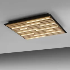 Paul Neuhaus LED Wand- und Deckenleuchte Q-AKUSTIK Holz-naturSmarthome
