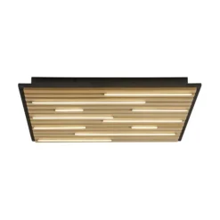 Paul Neuhaus LED Wand- und Deckenleuchte Q-AKUSTIK Holz-naturSmarthome