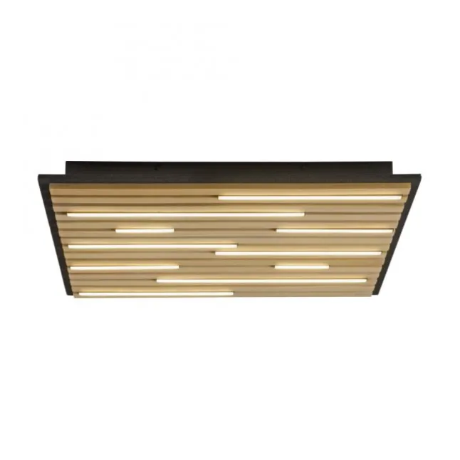 Paul Neuhaus LED Wand- und Deckenleuchte Q-AKUSTIK Holz-naturSmarthome
