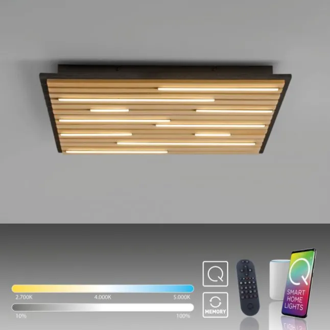 Paul Neuhaus LED Wand- und Deckenleuchte Q-AKUSTIK Holz-naturSmarthome