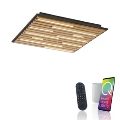 Paul Neuhaus LED Wand- und Deckenleuchte Q-AKUSTIK Holz-naturSmarthome