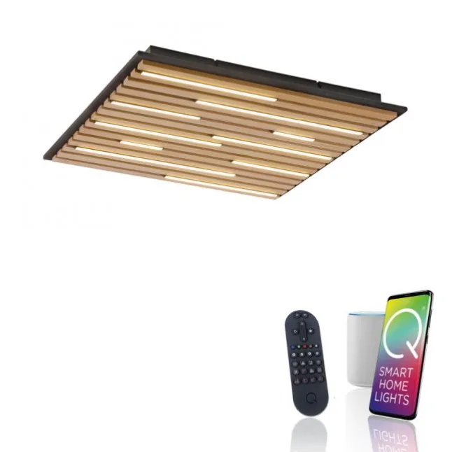 Paul Neuhaus LED Wand- und Deckenleuchte Q-AKUSTIK Holz-naturSmarthome