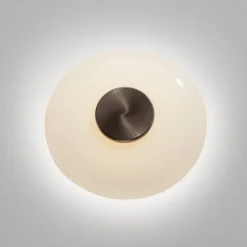 Paul Neuhaus LED Wand- und Deckenleuchte PURE Vitrum dark-metal brown