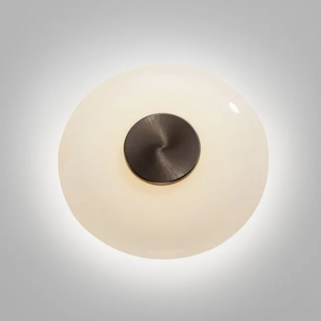 Paul Neuhaus LED Wand- und Deckenleuchte PURE Vitrum dark-metal brown