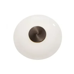 Paul Neuhaus LED Wand- und Deckenleuchte PURE Vitrum dark-metal brown