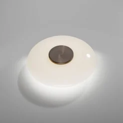 Paul Neuhaus LED Wand- und Deckenleuchte PURE Vitrum dark-metal brown