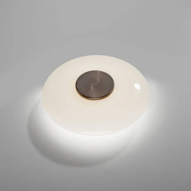 Paul Neuhaus LED Wand- und Deckenleuchte PURE Vitrum dark-metal brown
