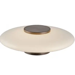 Paul Neuhaus LED Wand- und Deckenleuchte PURE Vitrum dark-metal brown