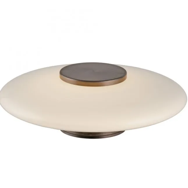 Paul Neuhaus LED Wand- und Deckenleuchte PURE Vitrum dark-metal brown