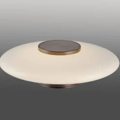 Paul Neuhaus LED Wand- und Deckenleuchte PURE Vitrum dark-metal brown
