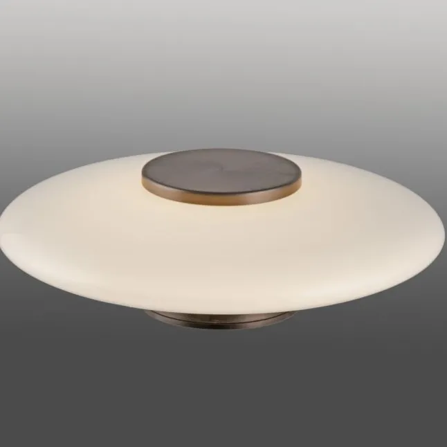 Paul Neuhaus LED Wand- und Deckenleuchte PURE Vitrum dark-metal brown