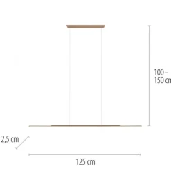 Paul Neuhaus Pendelleuchte PURE Surface bronce 125x25 höhenverstellbar