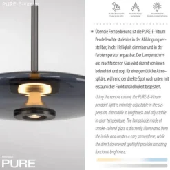 Paul Neuhaus Pendelleuchte PURE E-Vitrum platin (grau) elektrisch