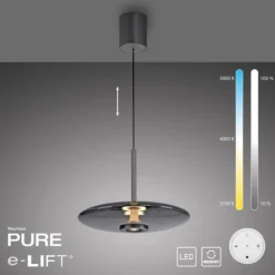 Paul Neuhaus Pendelleuchte PURE E-Vitrum platin (grau) elektrisch