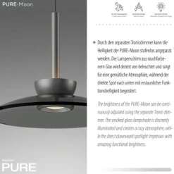 Paul Neuhaus Pendelleuchte PURE Moon platin (grau) höhenverstellbar dimmbar