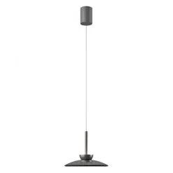 Paul Neuhaus Pendelleuchte PURE Moon platin (grau) höhenverstellbar dimmbar
