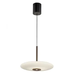 Paul Neuhaus Pendelleuchte PURE E-Vitrum dark-metal brown elektrisch