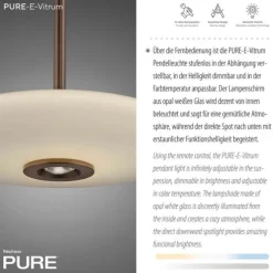 Paul Neuhaus Pendelleuchte PURE E-Vitrum dark-metal brown elektrisch