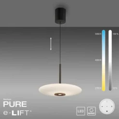 Paul Neuhaus Pendelleuchte PURE E-Vitrum dark-metal brown elektrisch