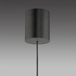 Paul Neuhaus Pendelleuchte PURE E-Vitrum dark-metal brown elektrisch