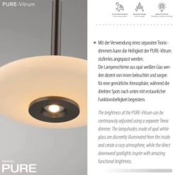 Paul Neuhaus Pendelleuchte PURE Vitrum 3 flammig dark-metal brown