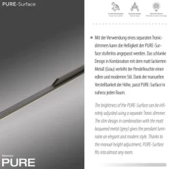 Paul Neuhaus Pendelleuchte PURE Surface platin (grau) 160x25 höhenverstellbar