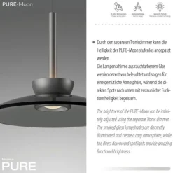 Paul Neuhaus Pendelleuchte PURE Moon platin (grau) höhenverstellbar 3-flammig