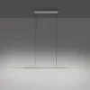 Paul Neuhaus Pendelleuchte PURE Surface platin (grau) 125x25 höhenverstellbar