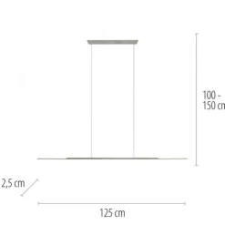 Paul Neuhaus Pendelleuchte PURE Surface platin (grau) 125x25 höhenverstellbar
