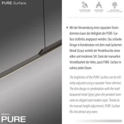 Paul Neuhaus Pendelleuchte PURE Surface platin (grau) 125x25 höhenverstellbar